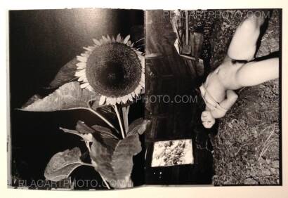 Daido Moriyama,Fukei Daido Moriyama,Fukei