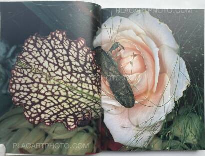 Nobuyoshi Araki,Kakyoku (Flower Rondo) (WITH OBI) Nobuyoshi Araki,Kakyoku (Flower Rondo) (WITH OBI)