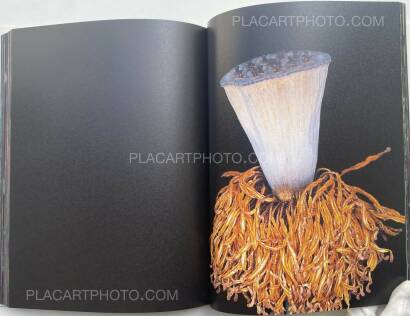 Nobuyoshi Araki,Kakyoku (Flower Rondo) (WITH OBI) Nobuyoshi Araki,Kakyoku (Flower Rondo) (WITH OBI)