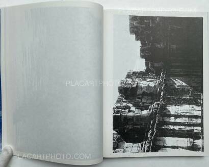 Christopher Wool,ABSENT WITHOUT LEAVE Christopher Wool,ABSENT WITHOUT LEAVE