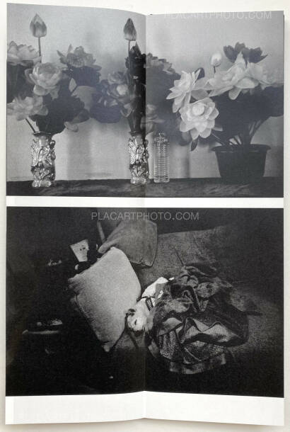 Sakiko Nomura,Fate in Spring (Signed copy) Sakiko Nomura,Fate in Spring (Signed copy)