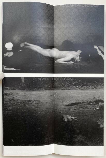 Sakiko Nomura,Fate in Spring (Signed copy) Sakiko Nomura,Fate in Spring (Signed copy)