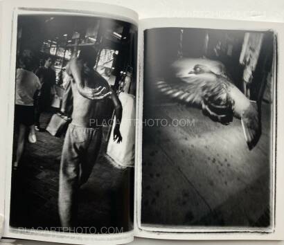 Michael Ackerman,Fiction (SIGNED) Michael Ackerman,Fiction (SIGNED)