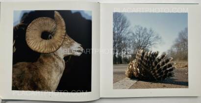 Ronan Guillou,Country Limit (SIGNED) Ronan Guillou,Country Limit (SIGNED)