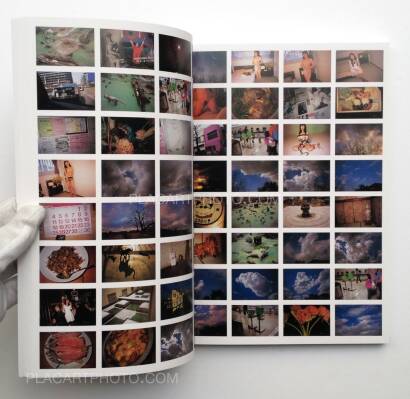 Nobuyoshi Araki,Past tense - Future 1979 2040 Nobuyoshi Araki,Past tense - Future 1979 2040