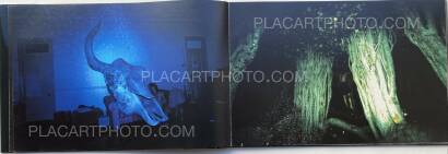 Lieko Shiga,CANARY  Lieko Shiga,CANARY