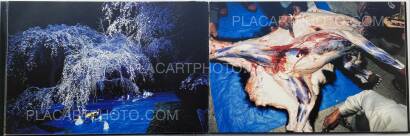 Lieko Shiga,CANARY  Lieko Shiga,CANARY