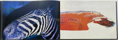 Lieko Shiga,CANARY  Lieko Shiga,CANARY