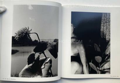 Kyoko Uchida ,Dark Light (SIGNED, WITH OBI) Kyoko Uchida ,Dark Light (SIGNED, WITH OBI)