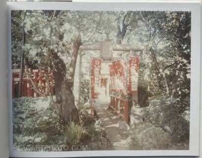 Risaku Suzuki,Torii Risaku Suzuki,Torii