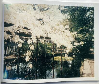 Risaku Suzuki,Torii Risaku Suzuki,Torii