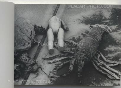 Nobuyoshi Araki,Last August (SIGNED) Nobuyoshi Araki,Last August (SIGNED)