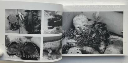 Nobuyoshi Araki,Last August (SIGNED) Nobuyoshi Araki,Last August (SIGNED)