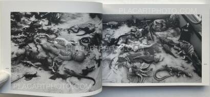 Nobuyoshi Araki,Last August (SIGNED) Nobuyoshi Araki,Last August (SIGNED)