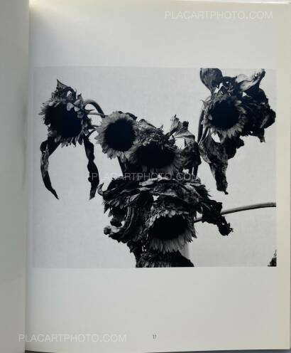 Nobuyoshi Araki,Kain (Shadows of Flowers) Nobuyoshi Araki,Kain (Shadows of Flowers)