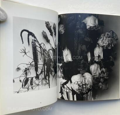 Nobuyoshi Araki,Kain (Shadows of Flowers) Nobuyoshi Araki,Kain (Shadows of Flowers)