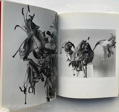 Nobuyoshi Araki,Kain (Shadows of Flowers) Nobuyoshi Araki,Kain (Shadows of Flowers)