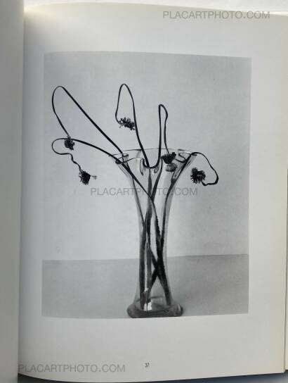 Nobuyoshi Araki,Kain (Shadows of Flowers) Nobuyoshi Araki,Kain (Shadows of Flowers)