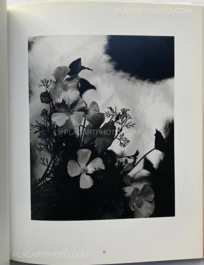 Nobuyoshi Araki,Kain (Shadows of Flowers) Nobuyoshi Araki,Kain (Shadows of Flowers)