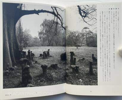 Nobuyoshi Araki,Tokyo, in Autumn Nobuyoshi Araki,Tokyo, in Autumn