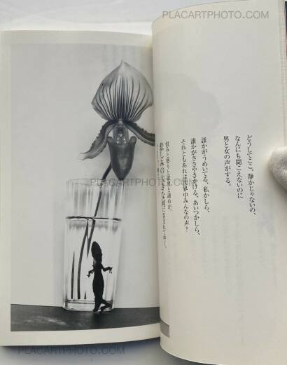 Nobuyoshi Araki,Yasashisa wa Ai Ja Nai (Kindness Isn't Love) Nobuyoshi Araki,Yasashisa wa Ai Ja Nai (Kindness Isn't Love)