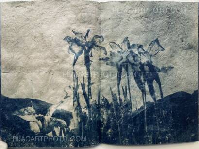 Mika Horie, Air, Flowers and Colours (SIGNED, LTD EDT) Mika Horie, Air, Flowers and Colours (SIGNED, LTD EDT)