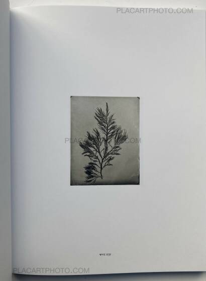 Steffen Diemer,Wakame (LTD EDT) Steffen Diemer,Wakame (LTD EDT)