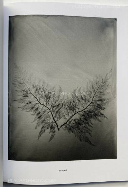 Steffen Diemer,Wakame (LTD EDT) Steffen Diemer,Wakame (LTD EDT)