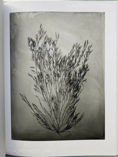 Steffen Diemer,Wakame (LTD EDT) Steffen Diemer,Wakame (LTD EDT)