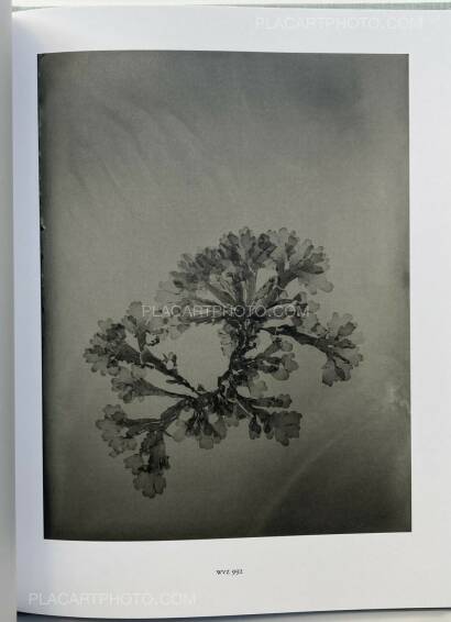 Steffen Diemer,Wakame (LTD EDT) Steffen Diemer,Wakame (LTD EDT)