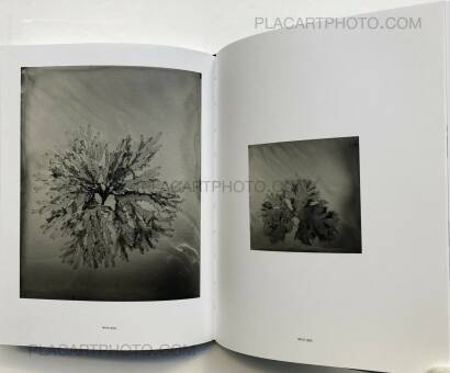 Steffen Diemer,Wakame (LTD EDT) Steffen Diemer,Wakame (LTD EDT)