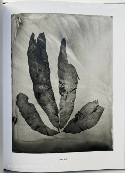 Steffen Diemer,Wakame (LTD EDT) Steffen Diemer,Wakame (LTD EDT)