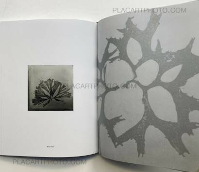 Steffen Diemer,Wakame (LTD EDT) Steffen Diemer,Wakame (LTD EDT)