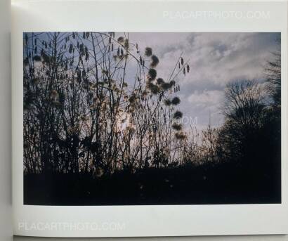 Sofia Coppola ,Some pictures from this past year Sofia Coppola ,Some pictures from this past year