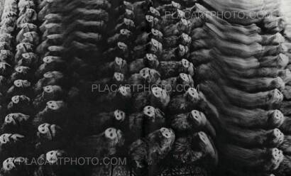 Masahisa Fukase,Homo Ludens (PRE-ORDER) Masahisa Fukase,Homo Ludens (PRE-ORDER)