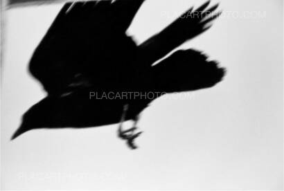 Masahisa Fukase,Yoko (PRE-ORDER) Masahisa Fukase,Yoko (PRE-ORDER)