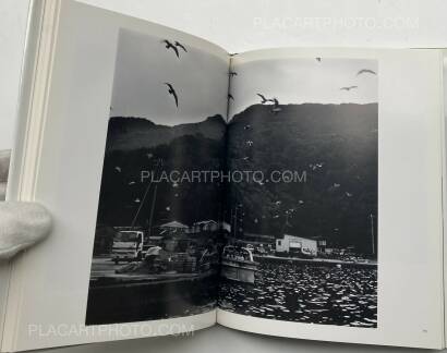 Nakai Hiroyasu,The Remaining Flower Nakai Hiroyasu,The Remaining Flower