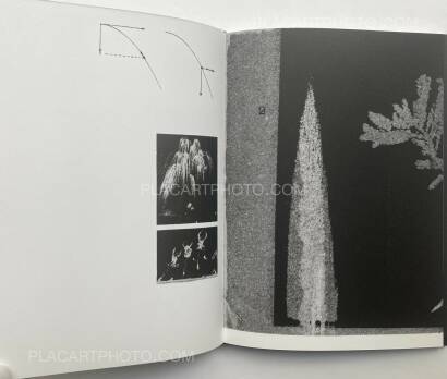 Magdalena Wysocka,Studies of falls (SIGNED, LTD EDT) Magdalena Wysocka,Studies of falls (SIGNED, LTD EDT)