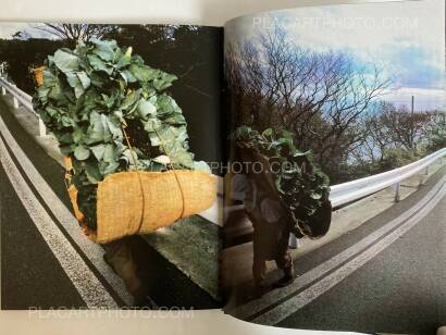 Yasushi Sugino,Sado (INSCRIBED) Yasushi Sugino,Sado (INSCRIBED)