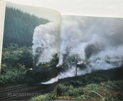 Shinzo Hanabusa ,Issho kenmei no jidai Shinzo Hanabusa ,Issho kenmei no jidai