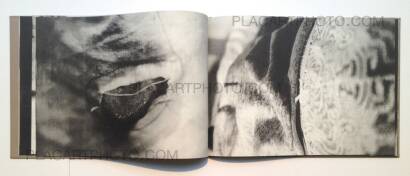 Emi Anrakuji,IPY Emi Anrakuji,IPY