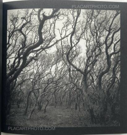 Graciela Iturbide,asor Graciela Iturbide,asor