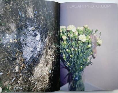 Lin Zhipeng,No. 223 (Red version) Lin Zhipeng,No. 223 (Red version)