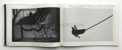 Collective,Brutal (signed) Collective,Brutal (signed)