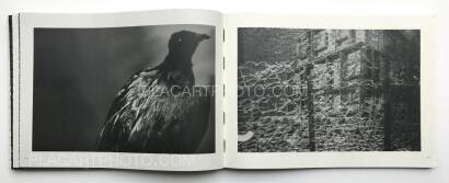 Collective,Brutal (signed) Collective,Brutal (signed)