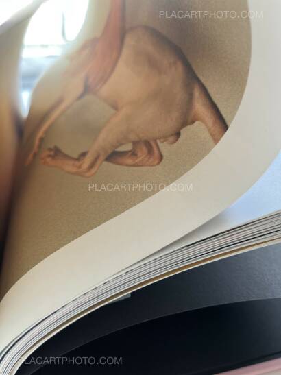 Lin Zhipeng,Sour Strawberries Lin Zhipeng,Sour Strawberries