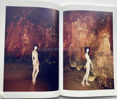 Arnaud Pyvka,Terrestre Arnaud Pyvka,Terrestre