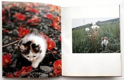 Masahisa Fukase,Neko no mugiwara boshi / The Strawhat Cat (Signed) Masahisa Fukase,Neko no mugiwara boshi / The Strawhat Cat (Signed)