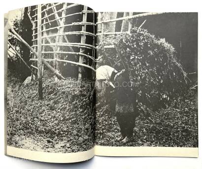 Collective,Somo Collective,Somo