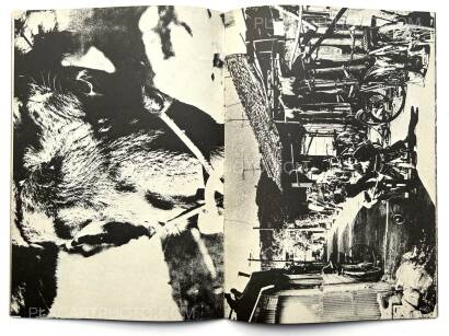 Collective,Somo Collective,Somo